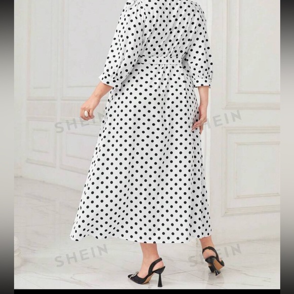 Polka dot print contrast collar belted dress - Picture 2 of 4